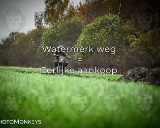 Offroad Rit Balkbrug photo