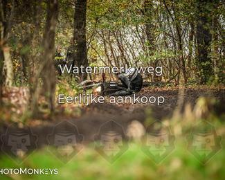 Offroad Rit Balkbrug photo