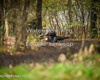 Offroad Rit Balkbrug photo