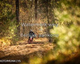 Offroad Rit Hengelo photo