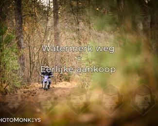 Offroad Rit Hengelo photo