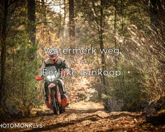 Offroad Rit Hengelo photo