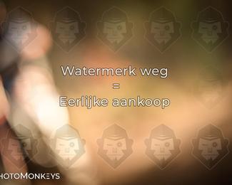 Offroad Rit Hengelo photo