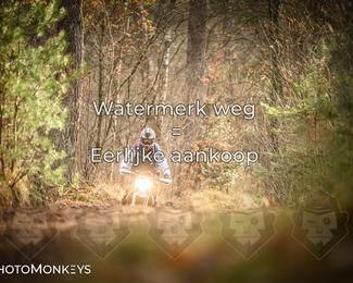 Offroad Rit Hengelo photo