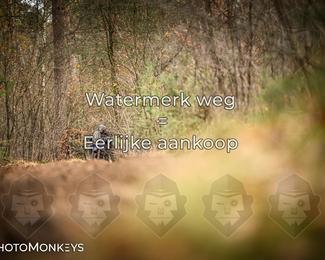 Offroad Rit Hengelo photo