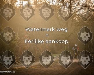 Offroad Rit Staphorst photo