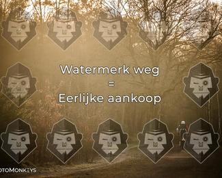 Offroad Rit Staphorst photo