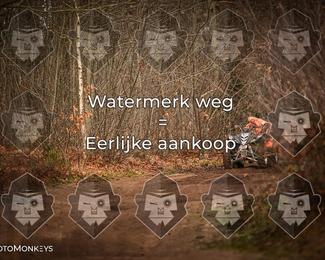 Offroad Rit Staphorst photo