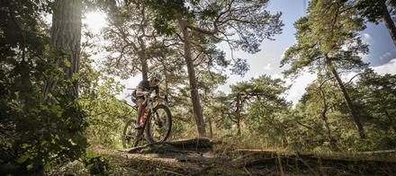 Foto's Veldslag 05-09-2026 | Mountainbike & Gravel