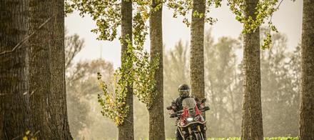 Foto's Herfstrit Moerzeke | Hartrijders 25-10-2026