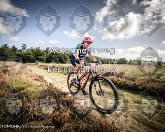 Route Du Nord photo