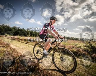 Route Du Nord photo
