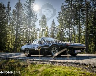 Tour Amical Norway 2026 photo