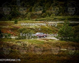 Tour Amical Norway 2026 photo