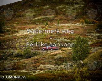 Tour Amical Norway 2026 photo