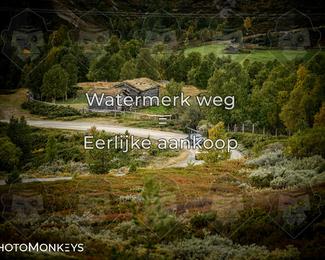 Tour Amical Norway 2026 photo