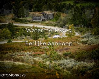 Tour Amical Norway 2026 photo