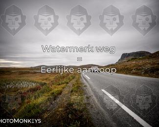 Tour Amical Norway 2026 photo