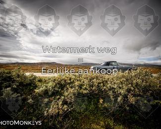 Tour Amical Norway 2026 photo