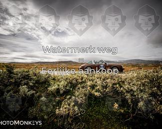 Tour Amical Norway 2026 photo