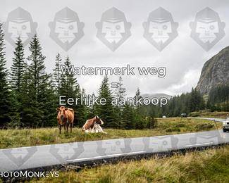 Tour Amical Norway 2026 photo