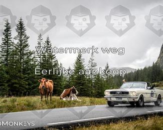 Tour Amical Norway 2026 photo