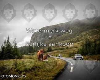 Tour Amical Norway 2026 photo