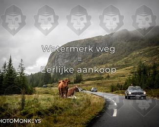 Tour Amical Norway 2026 photo