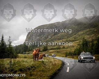 Tour Amical Norway 2026 photo