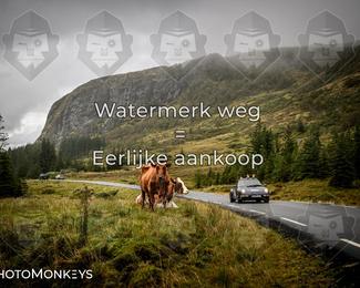 Tour Amical Norway 2026 photo