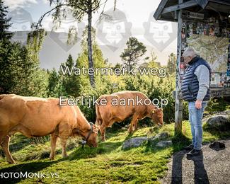 Tour Amical Norway 2026 photo