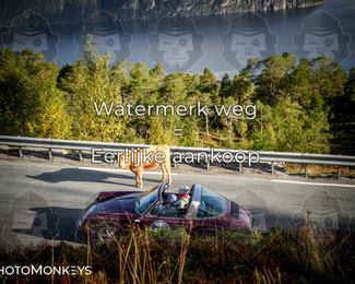 Tour Amical Norway 2026 photo