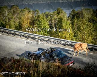 Tour Amical Norway 2026 photo