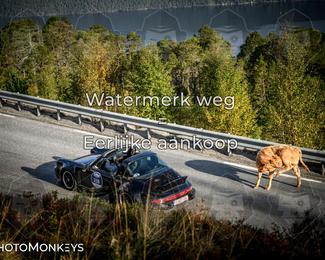 Tour Amical Norway 2026 photo