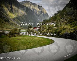 Tour Amical Norway 2026 photo