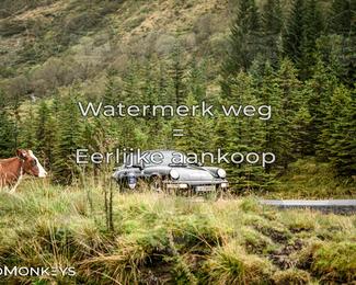 Tour Amical Norway 2026 photo
