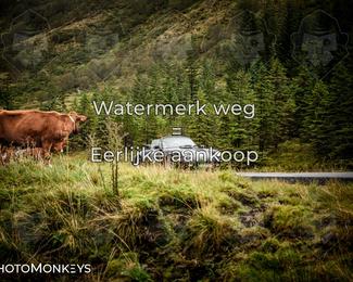 Tour Amical Norway 2026 photo