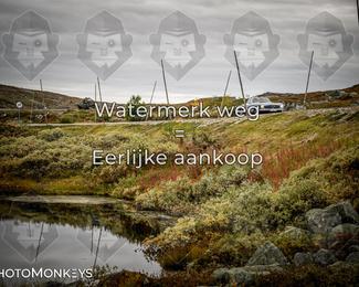 Tour Amical Norway 2026 photo