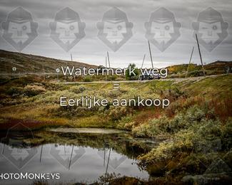 Tour Amical Norway 2026 photo