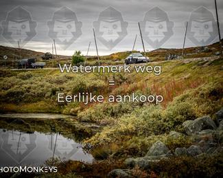Tour Amical Norway 2026 photo