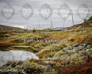Tour Amical Norway 2026 photo