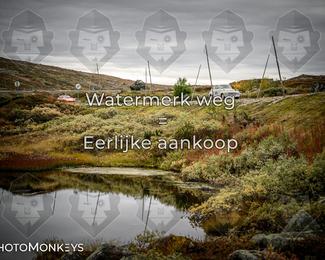 Tour Amical Norway 2026 photo
