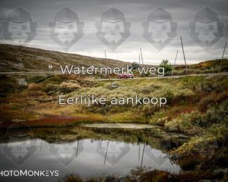Tour Amical Norway 2026 photo