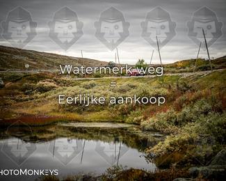 Tour Amical Norway 2026 photo