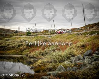 Tour Amical Norway 2026 photo