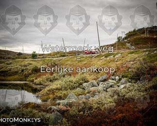 Tour Amical Norway 2026 photo