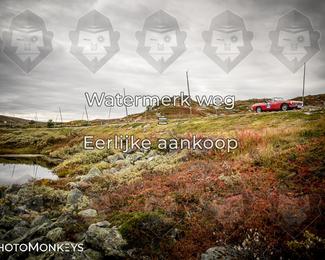 Tour Amical Norway 2026 photo