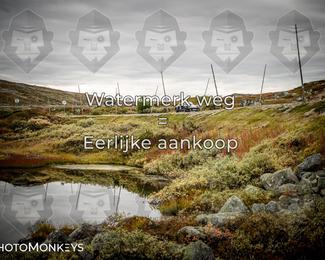 Tour Amical Norway 2026 photo