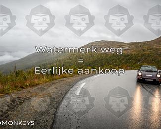 Tour Amical Norway 2026 photo