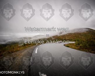 Tour Amical Norway 2026 photo